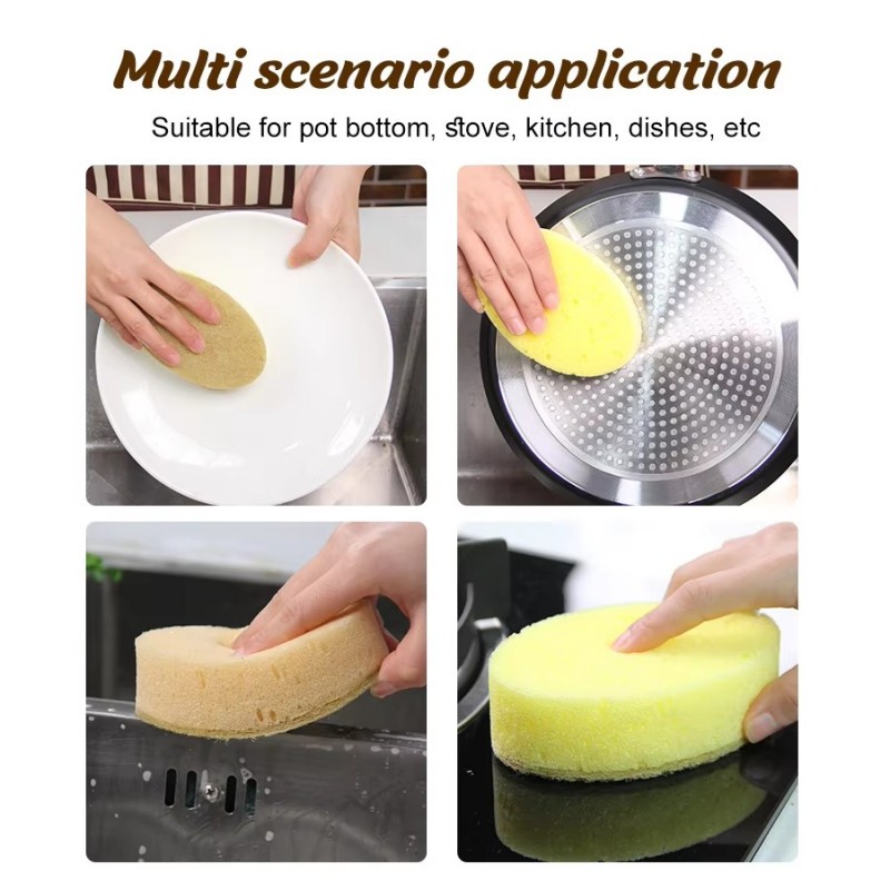 What Does Sponge Remove Membrane Mean?