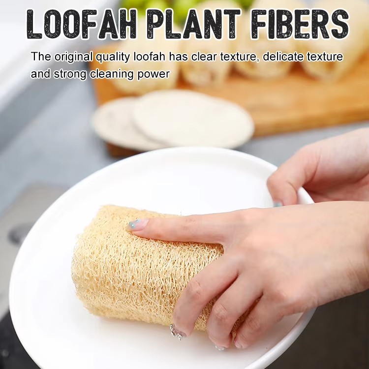 2025 authoritative manual for vacuum cleaner filtration