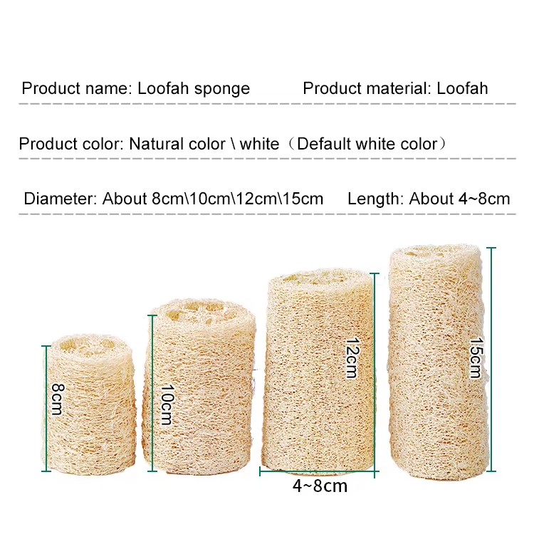 How to choose Konjac sponge for your skin? Everything is Here!