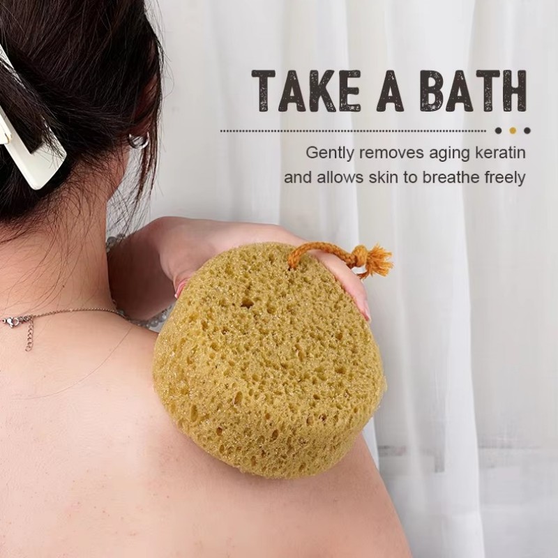 Natural Wooden Dry Bath Brush in China