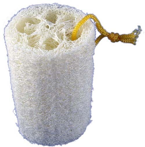 What is a best eco scoure in China?